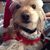 Debbie Brisbourne's profile image