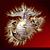 Everett Ray Patterson Sr.'s profile image