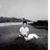 Michael D. Martin's profile image