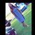Ciara Cardreon's profile image
