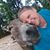 Jodie Hader's profile image