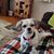 Diane Reddy's profile image