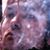 Gilbert Wong's profile image