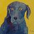 Bob Warren's profile image