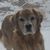 Christine Graetz Berens's profile image