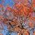 Patrick Whitson's profile image