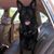 Adolfo Pedraza's profile image