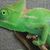 Gail Worrell's profile image