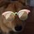 Dawn Walton Cifelli's profile image