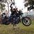 Sharon Edgemon's profile image