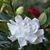 Veba Claudia's profile image