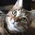 Patty Byrd's profile image