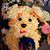 Donna Bloomfield Bloomfield's profile image
