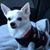 Karen Moles Vale's profile image