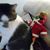Linda Kansman Garland's profile image