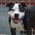 Deb Lanter's profile image