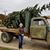 Mare Owens Sheppard's profile image