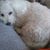 Gina Lovecchio's profile image