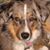 Joy Mcginnis's profile image