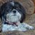 Jethryn Burnett Ott's profile image