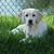 Carol Dansky's profile image