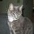 Rosemarie Bowers's profile image