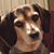 LindaandVaughn Shirlen's profile image