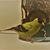 Debra Jones's profile image