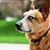 Latosha Flowers-Brown's profile image