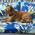 Jill T. Blatchley's profile image