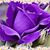 Josefina Lopez's profile image