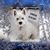 Karen Tokarchick's profile image