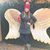 Jennifer Kirke Schipper's profile image
