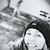 Shannon Corbett Brannigan's profile image