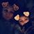 Jade Hughes's profile image