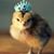 Nancy Schmitt-West's profile image