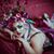 Sebonay Baray's profile image