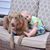 Gail Dawson's profile image