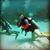 Tess Siemer's profile image