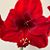 Joanna Clapham's profile image