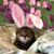 Christine Stimson's profile image