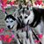 Jennifer Shirley's profile image