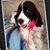 Mary Kay Deibold's profile image