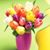 Diane Gilmore's profile image