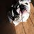 Tucker Songer's profile image