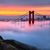 Sally Donez-Lacy's profile image