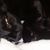 Dodie Bond's profile image