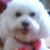 George Bailey Maranto's profile image