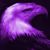 Bill Smith's profile image