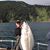 Bob Jolliffe's profile image